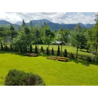 260353788.webp