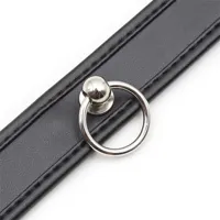collar-with-hoop-black-843658379554.jpg