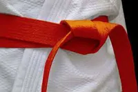 RMY Taekwondo Orange Belts,RMY Best Taekwondo Belts - image 2