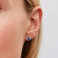 ladies-earrings-pandora-294230c01-s72131661-bbs72131661.jpg