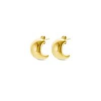 ladies-earrings-one-jewels-ojeep27g-golden-s72140841-bbs72140841.jpg