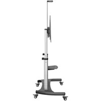 tv-mount-startech-stndmtv100-100-s55016774-bbs55016774.jpg