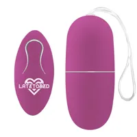ecopurple-vibrating-egg-with-remote-control-m-845-clm-845.jpg