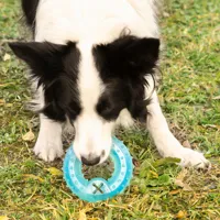 2-in-1-freezable-pet-chew-toy-glubiz-innovagoods-v0103697-bbv0103697.jpg