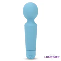 sander-mini-wand-massage-lt-493-cllt-493.jpg