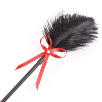 feather-tickler-and-paddle-36-cm-red-black-843658379476-cl843658379476.jpg