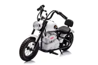 Motor-Na-Akumulator-A9902-36V-Bialy__1105862__1200.jpg