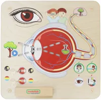 MASTERKIDZ-Tablica-Edukacyjna-Zmysl-Wzroku-Montessori__1291059__1200.jpg