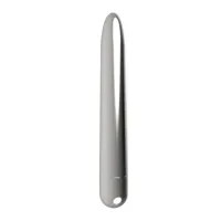 renee-vibe-10-vibrating-functions-185-cm-usb-silver-lt-687-cllt-687.jpg