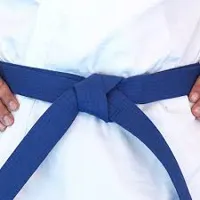 RMY Taekwondo Blue Belts,RMY Great Quality Taekwondo Belts. - image 3