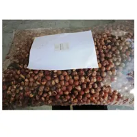 Soap Nuts for Shining Hair, RMY 250g soap nuts in Pp Packaging,How to use RMY Soap Berries,RMY So...