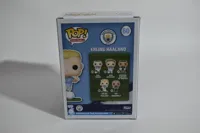 26531.jpg