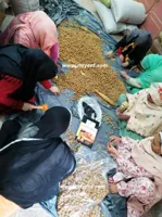 Soap Nuts Shells Packaging,RMY 5kg Soap Nuts Shells,how to store soap nuts shells liquid,how shou... - image 2