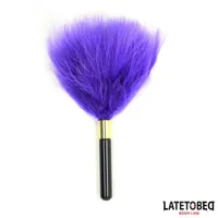 feather-tickler-mini-purple-18cm-8436615007356-cl8436615007356.jpg