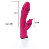 vibe-dreamer-ii-usb-rose-red-lo-lv2711p-cllo-lv2711p.jpg