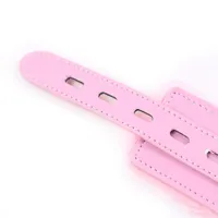 collar-with-leash-pastel-pink-8436615000487-cl8436615000487.jpg