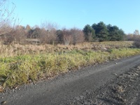 IMG_20241116_133040.jpg