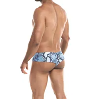 cheeky-brief-provocative-snake-3760294772645-cl3760294772645.jpg