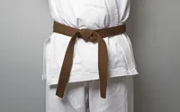 RMY Hapkido Brown Belts,RMY Best Quality Hapkido Belts,Hapkido Gürtel – Hochwertiger Baumwoll Kam... - image 3