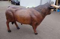 stier-3.jpg