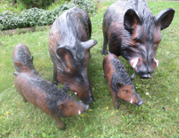 wilschweingruppe.png
