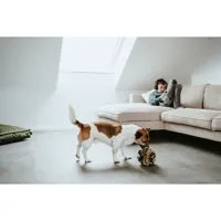 dog-toy-hunter-s6104457-bbs6104457.jpg