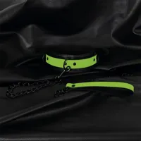 glow-in-the-dark-collar-with-leash-sl-153-clsl-153.jpg