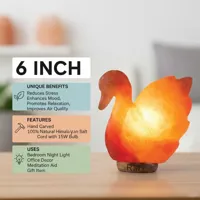 RMY Animal shaped Himalayan Salt Lamp Manufacturers - image 3