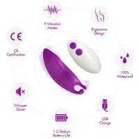 magnetic-panty-vibrator-8436626092808.jpg