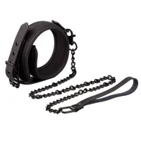 collar-with-leash-vegan-leather-bs-050-clbs-050.jpg