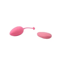 vibrating-egg-remote-control-sweety-teaser-usb-57-cn-801598826-clcn-801598826.jpg