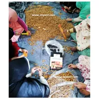 RMY 15kg Soap nuts Shells in Export Carton Packaging,RMY Soap Berries Shells for Eco Friendly,RMY... - image 2