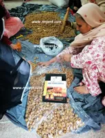 Soap Nuts – Shop Online, RMY Brand Soap Nuts Factory,I use bleach on my whites. Are Soap Nu... - image 2