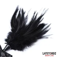 feather-tickler-35-cm-8436615001248-cl8436615001248.jpg