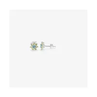 ladies-earrings-radiant-ry000109-s0800620-bbs0800620.jpg