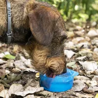 2-in-1-bottle-with-water-and-food-containers-for-pets-pettap-innovagoods-v0103141-bbv0103141.jpg