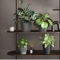 a4a42ebe9491cabbac0db66dfdedd91e.jpg
