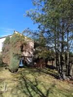 IMG_20260211_115407.jpg