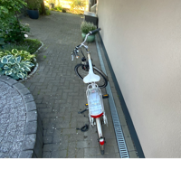 IMG_0384_8.webp