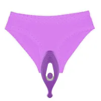 lunder-panty-stimulator-with-remote-control-usb-lt-182-cllt-182.jpg