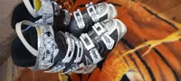 20260209_205632.jpg