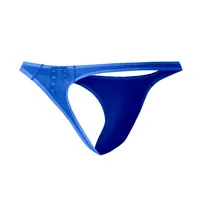 c4mspx06-brazilian-thong-mesh-electric-blue-3701705107144-cl3701705107144.jpg