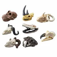 Zestaw-Archeologiczny-Wykopaliska-Czaszek-Kosci-Narzedzia-Akcesoria__1289806__1200.jpg