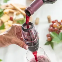 wine-aerator-with-filter-stand-and-carry-pouch-wineir-innovagoods-v0103779.jpg