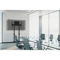tv-mount-neomounts-wl55-875bl1-100-37-s55173627-bbs55173627.jpg