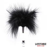 feather-tickler-with-acrylic-metal-handle-8436615001316.jpg