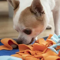sniffing-mat-for-pets-fooland-innovagoods-v0103607-bbv0103607.jpg