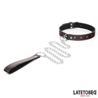 collar-with-leash-52-cm-8436615009329-cl8436615009329.jpg