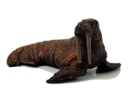 Figurki-Edukacyjne-Morskie-Zwierzeta-8-Elementow-Rekiny-Foka-Delfin-Mors-Zolw__814562__1200.jpg