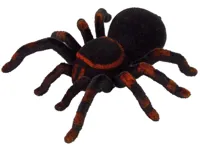 Zdalnie-Sterowany-Pajak-Tarantula-Czarny-RC__1067622__1200.jpg